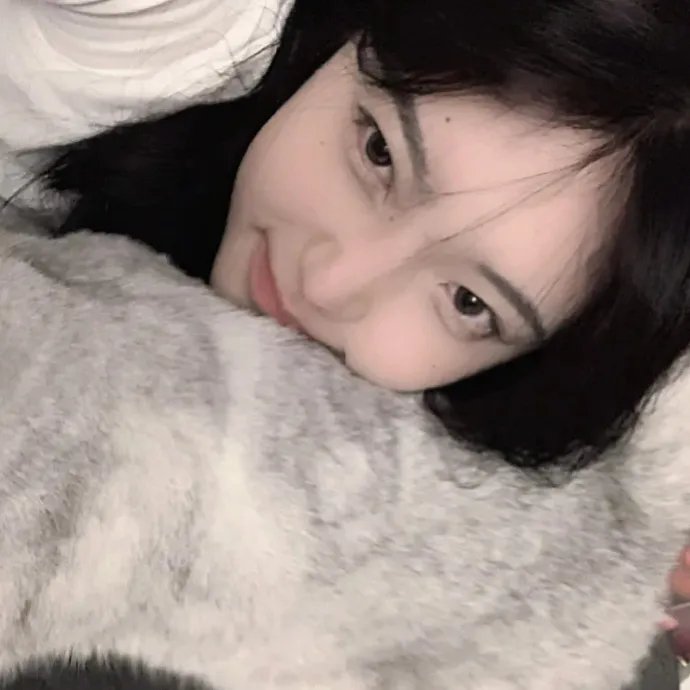 萌鸡小队:萌闯新世界